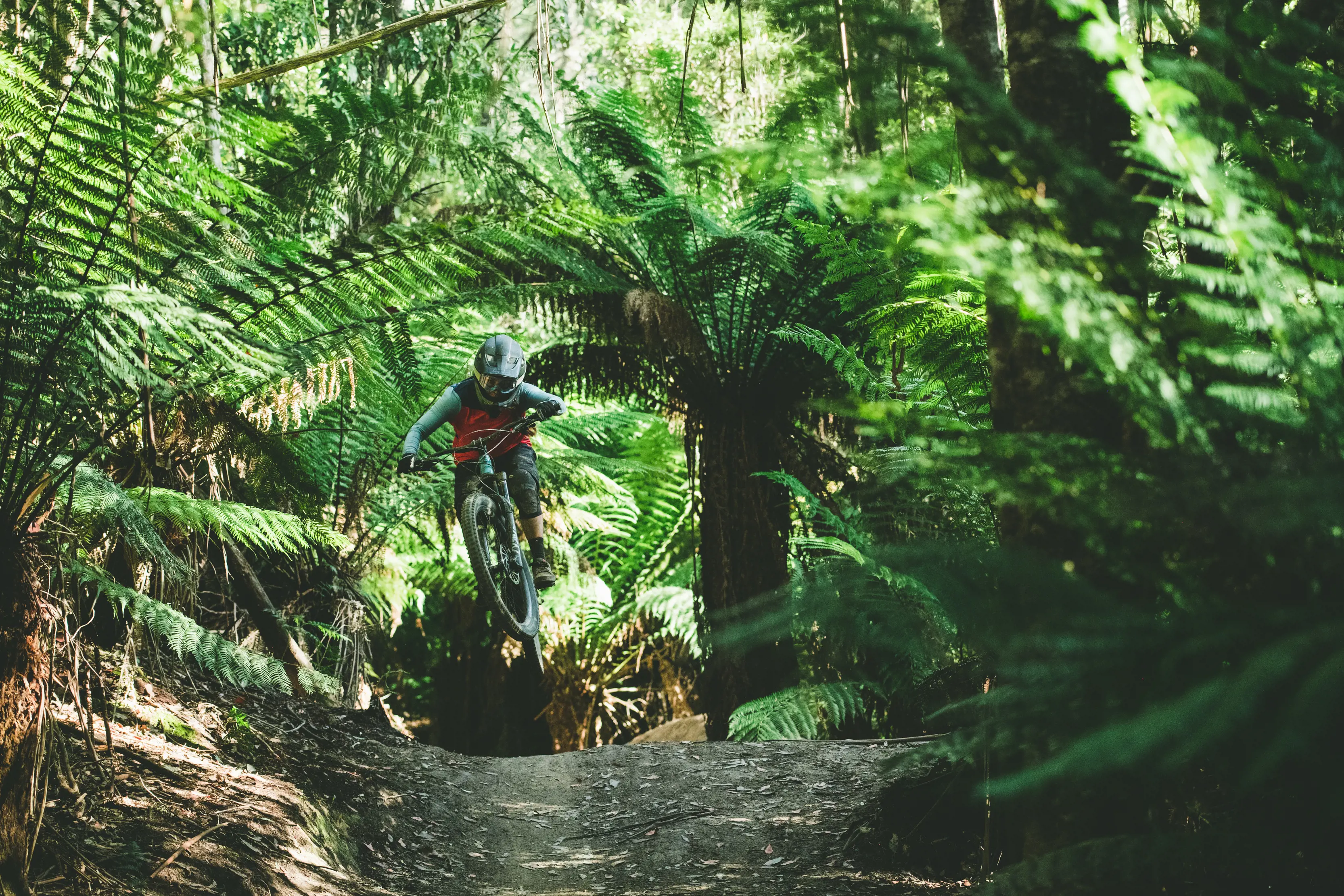 Maydena Bike Park