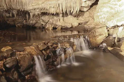 Explore mini waterfalls in Mole Creek Caves