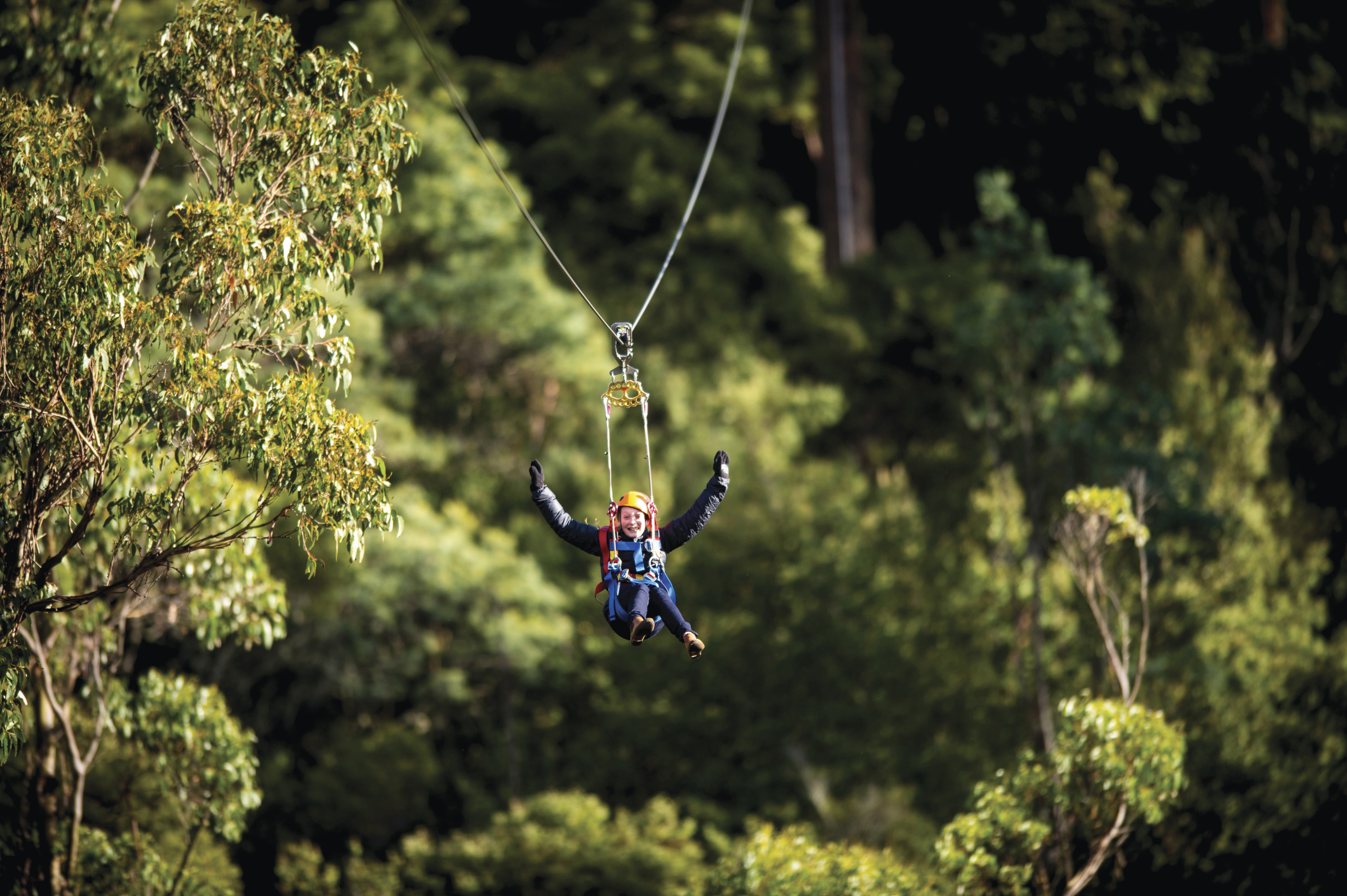 Top day trips from Launceston Discover Tasmania