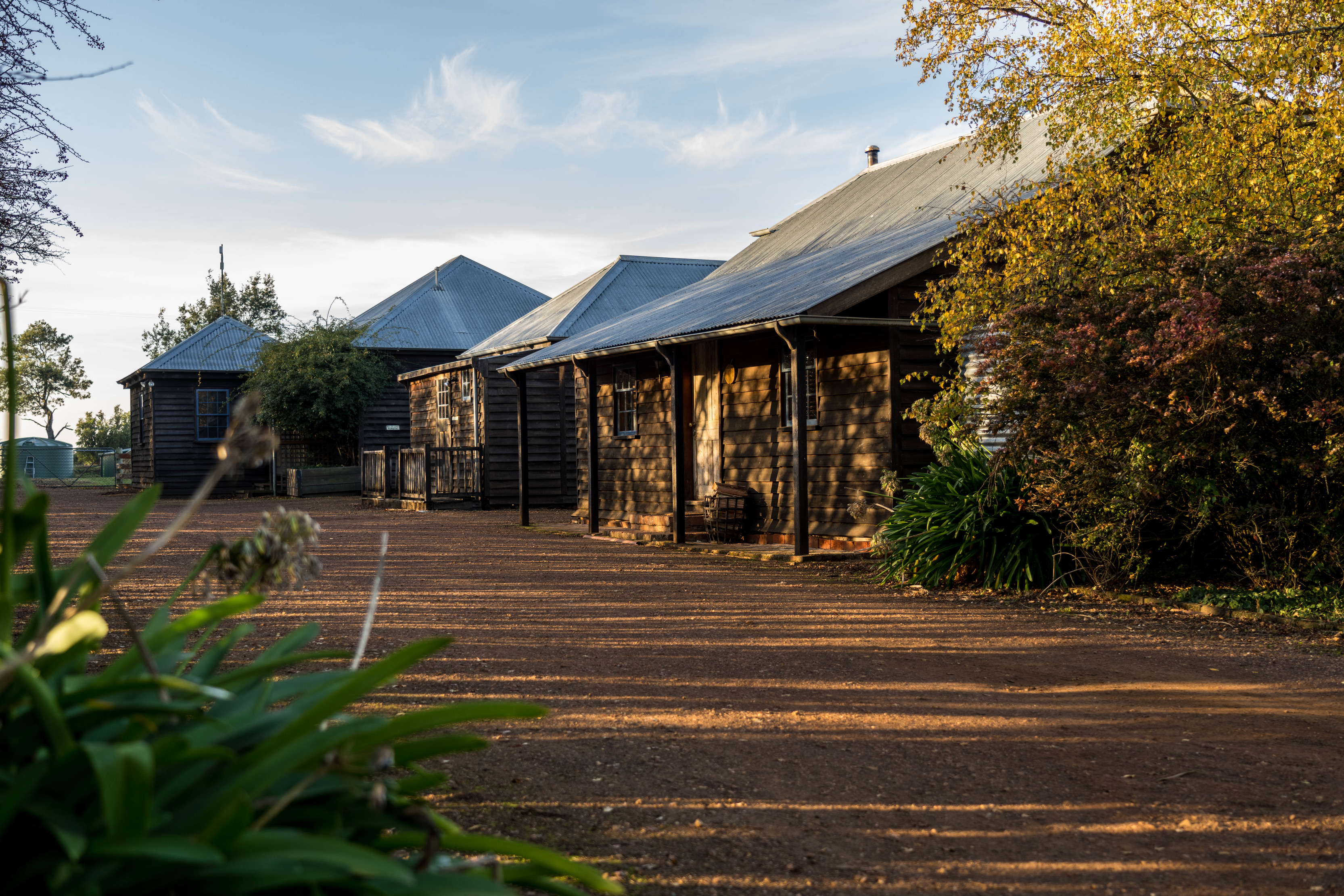 Top day trips from Launceston Discover Tasmania