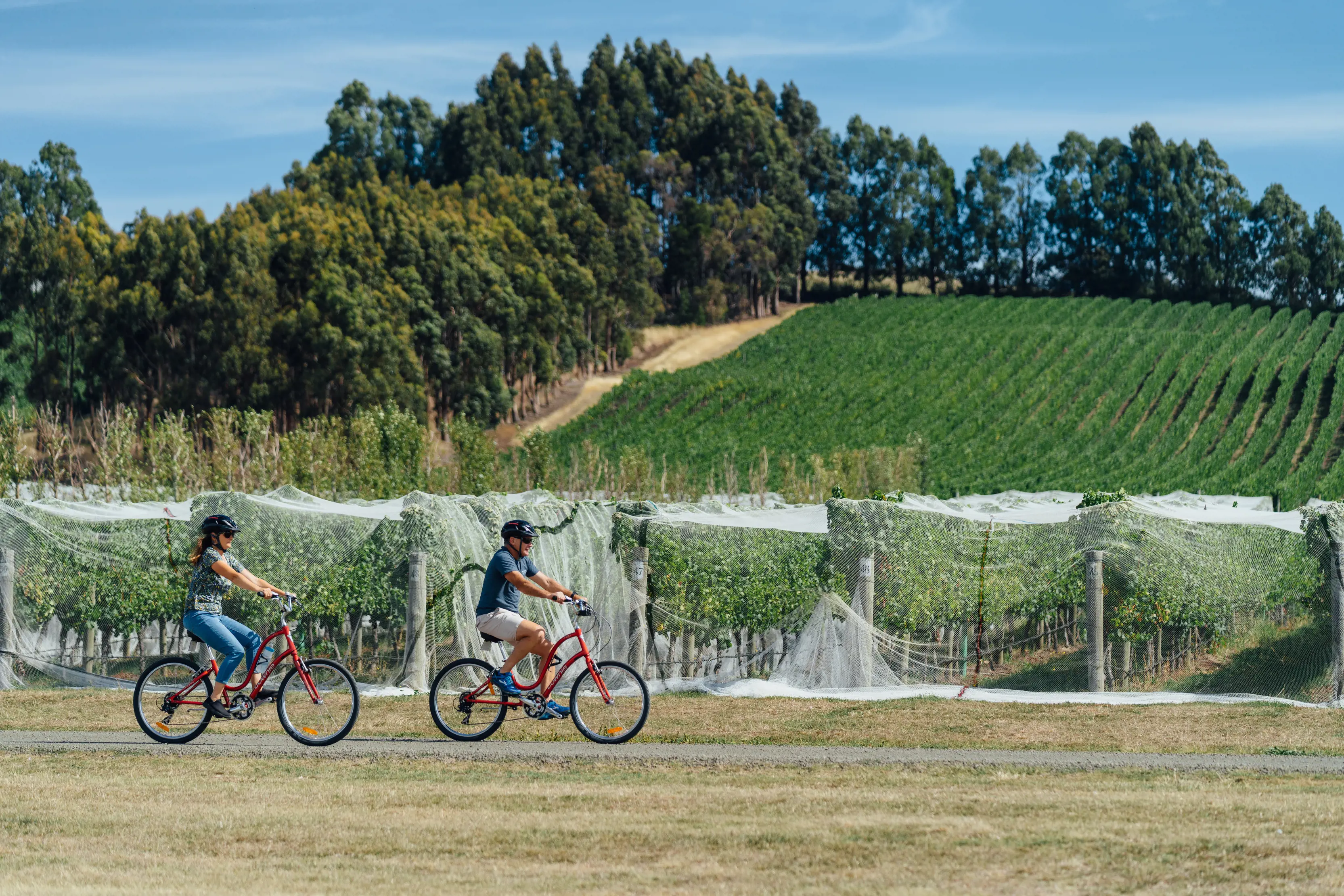 Josef Chromy Wines - Ride the Vines tour