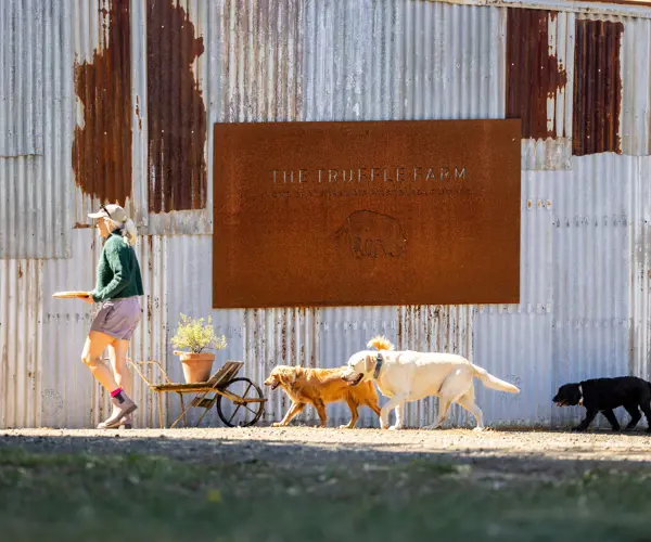 Dog-friendly Tasmania