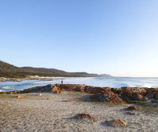 The Freycinet Experience with Isaac Masterman