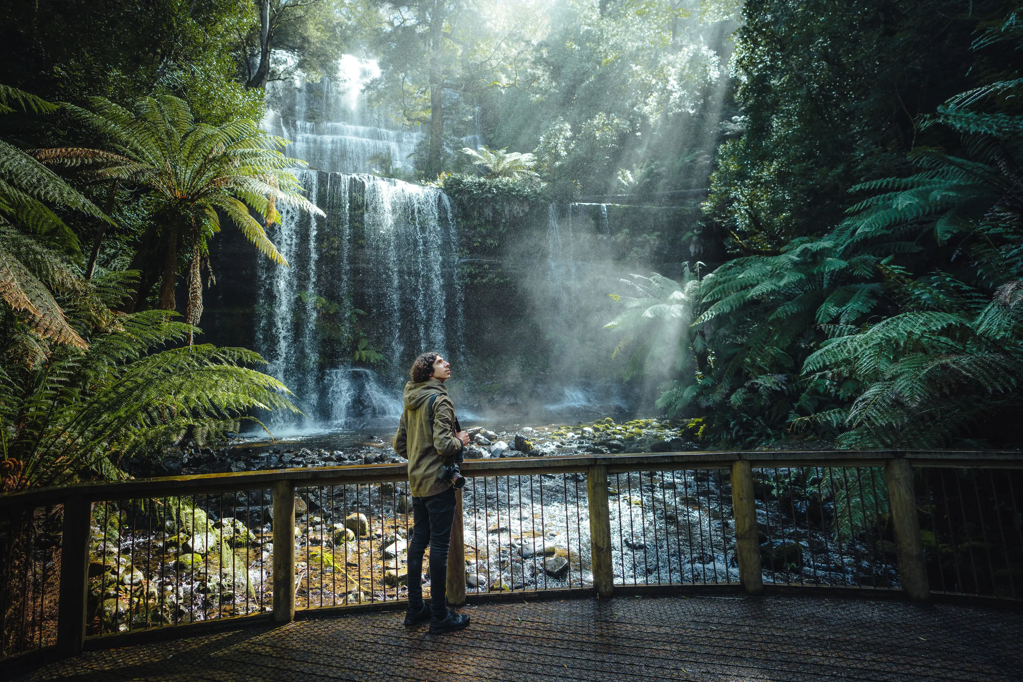 A man stood in front of Russell Falls, looking up at the fern forests and tall trees.