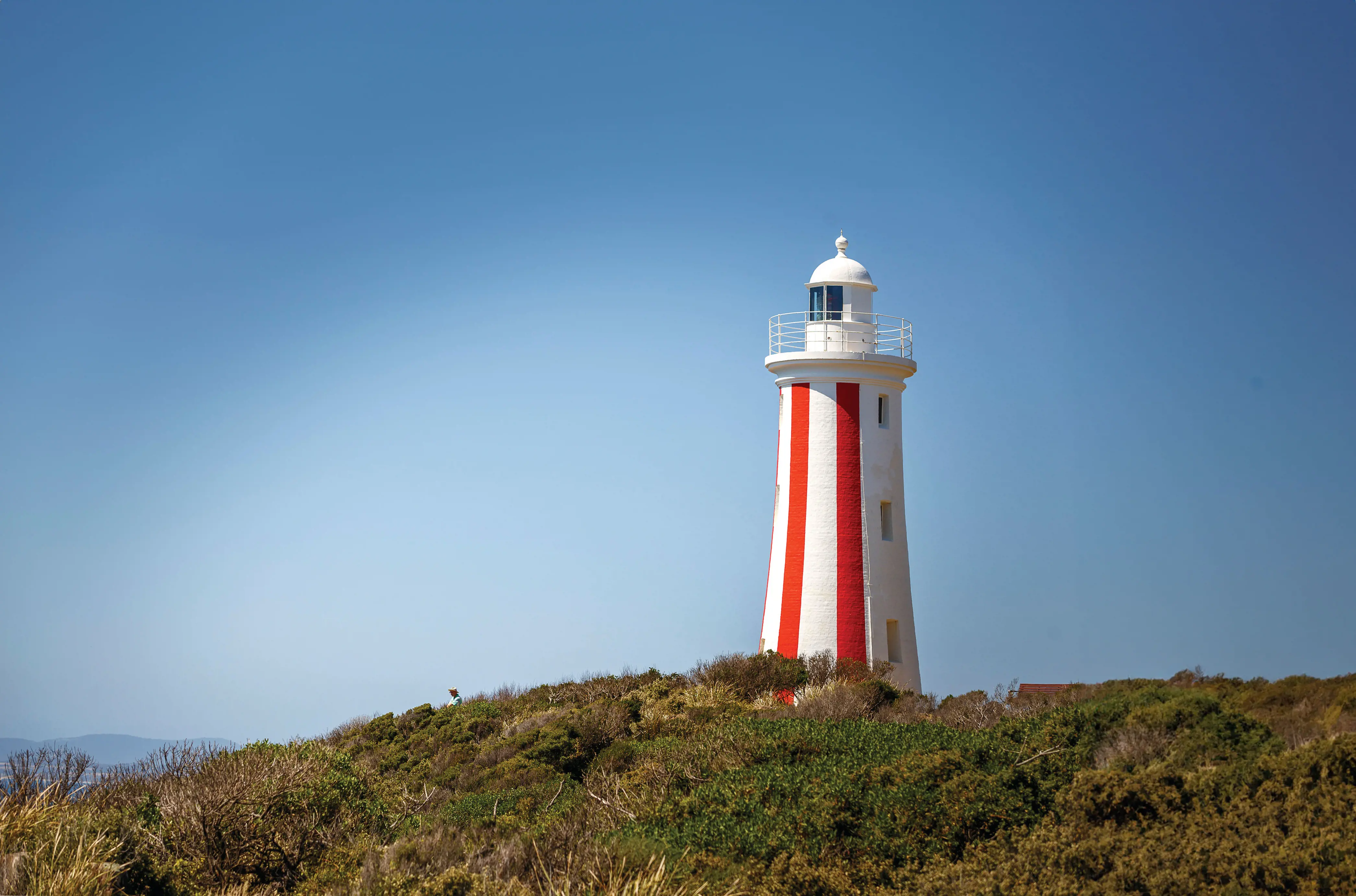 A vibrant image of Mersey Bluff Lighthouse upon the hill filled with bush, accompanied by clear, blue sky.